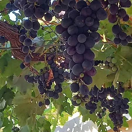 Helena Airport 公寓 *