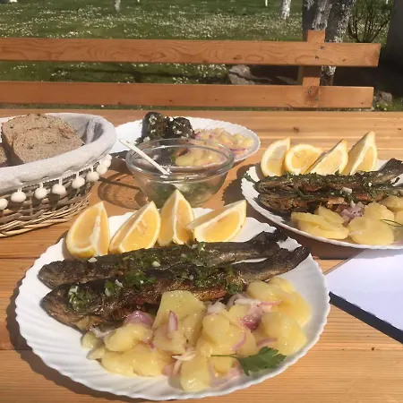 公寓 Helena Airport 波德戈里察