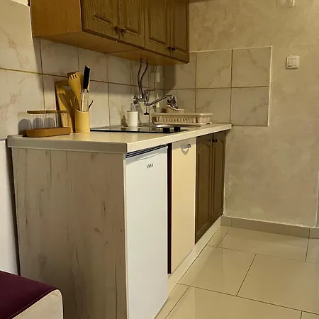 公寓 Helena Airport 波德戈里察