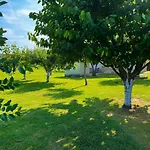 Helena Airport شقة *