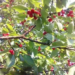 شقة Helena Airport