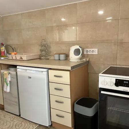 Helena Airport Apartment *