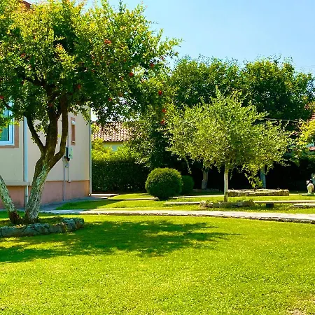 Helena Airport Apartment *