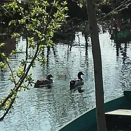 Helena Airport Apartment Podgorica