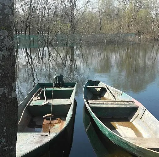 Helena Airport Podgorica