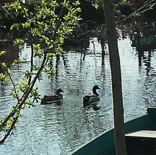 Helena Airport Apartamento Podgorica